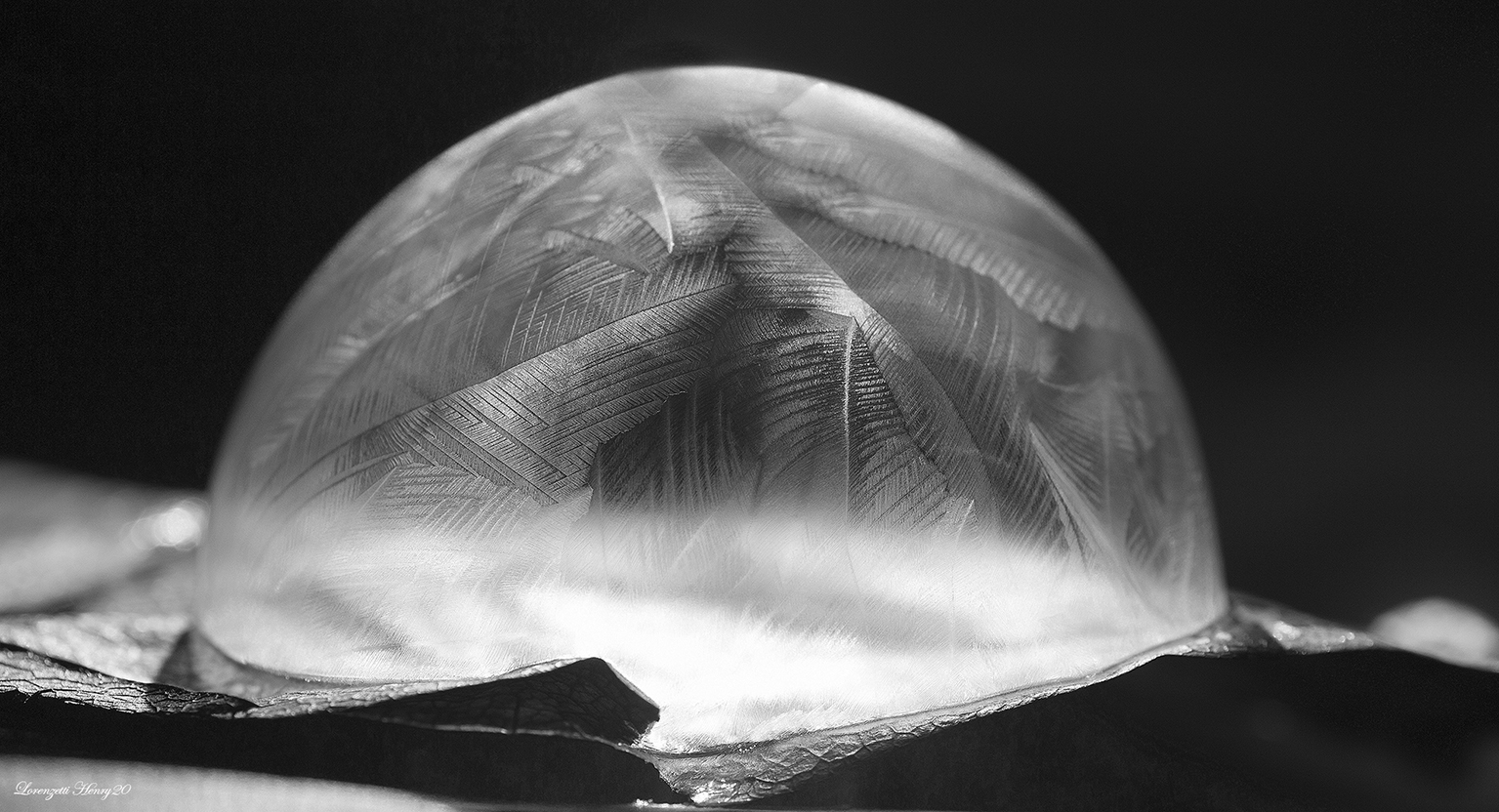 cristalli di foglie..