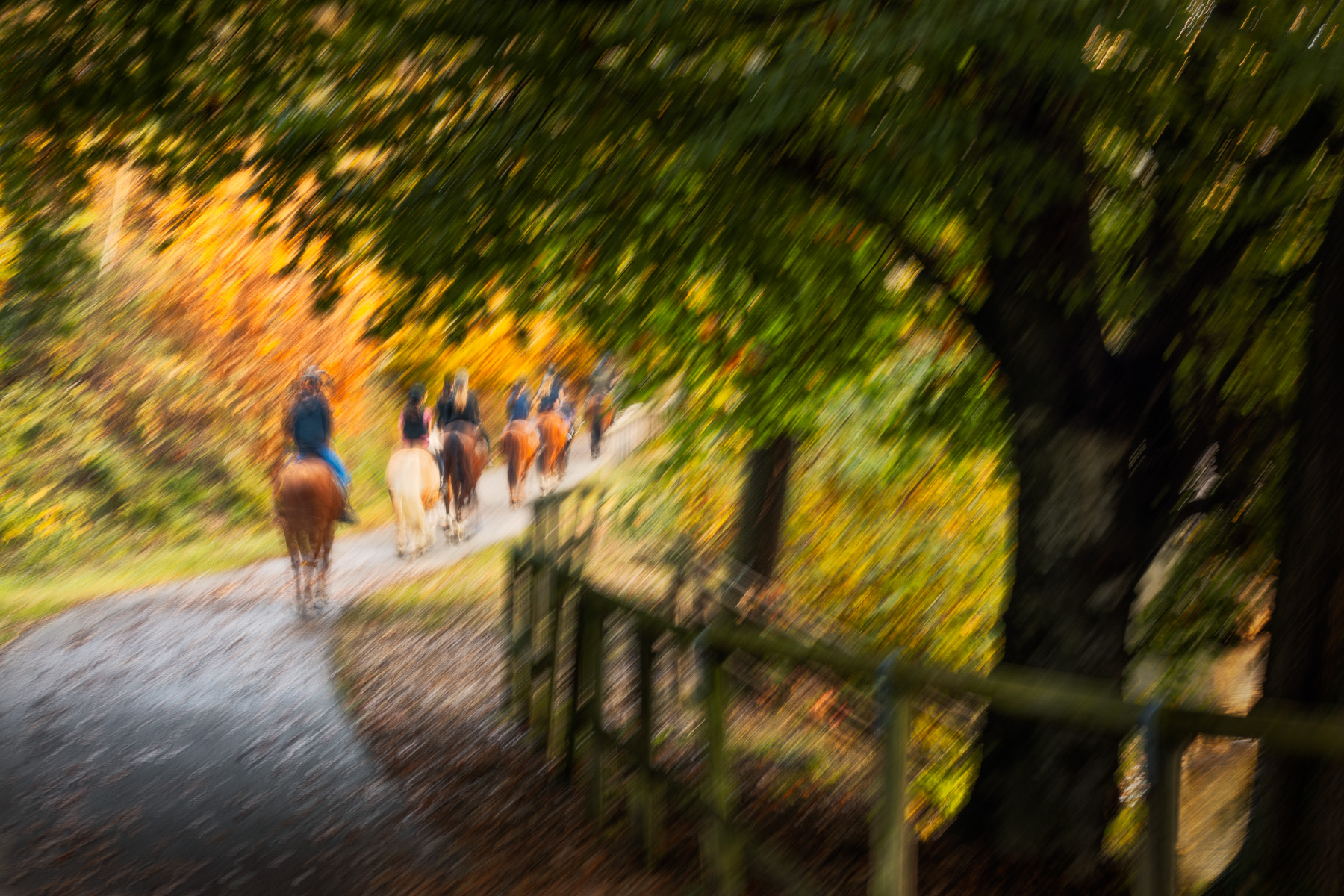 Critica al buio - Foto 082