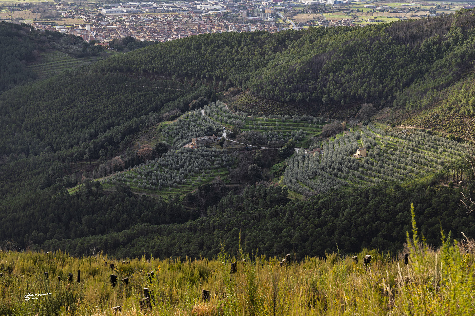 In assoluta tranquillit�..