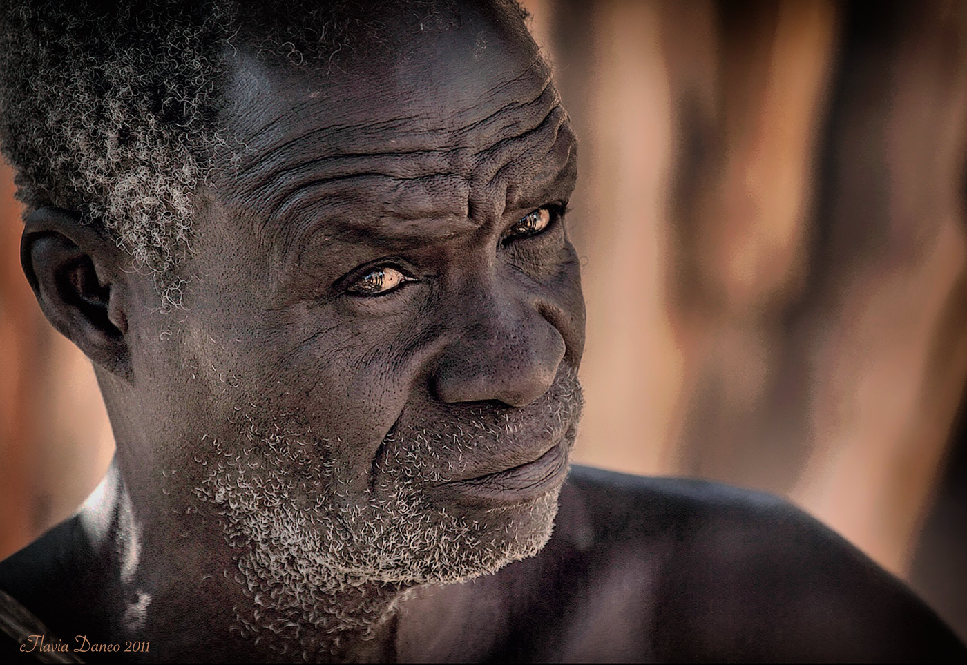 Pi� di mille parole