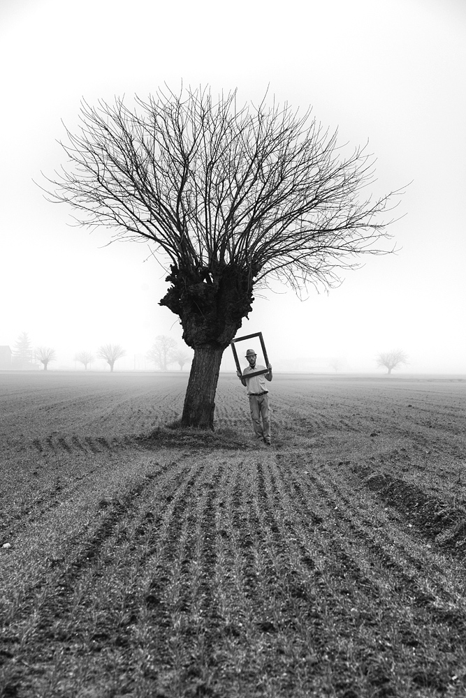 Open Air Museum - Seeking Support -