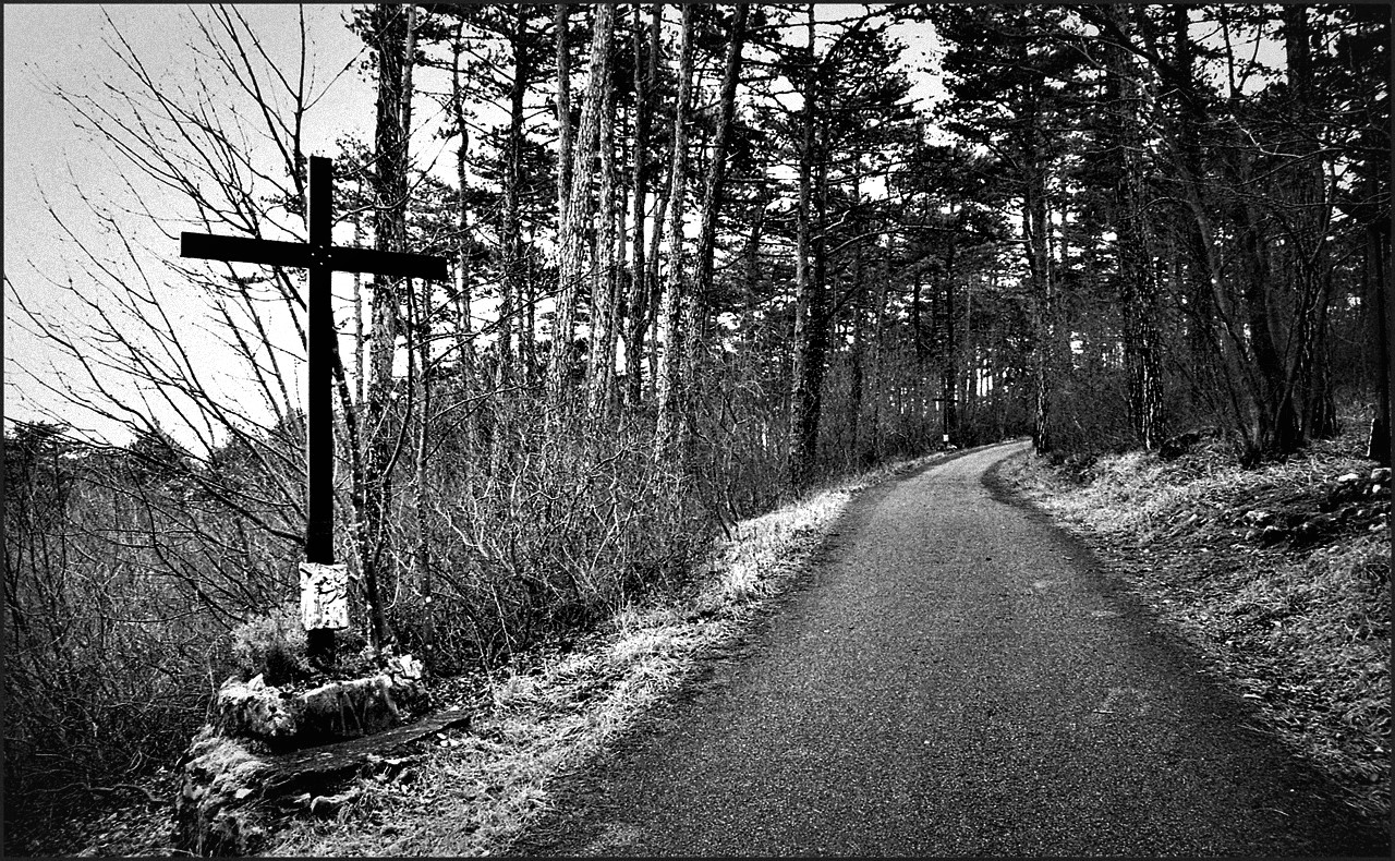Trieste sentiero Cobolli