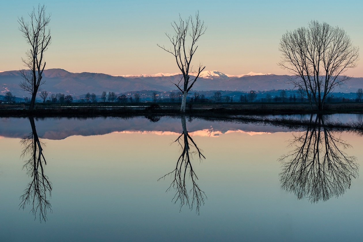 138� Contest: Riflessi