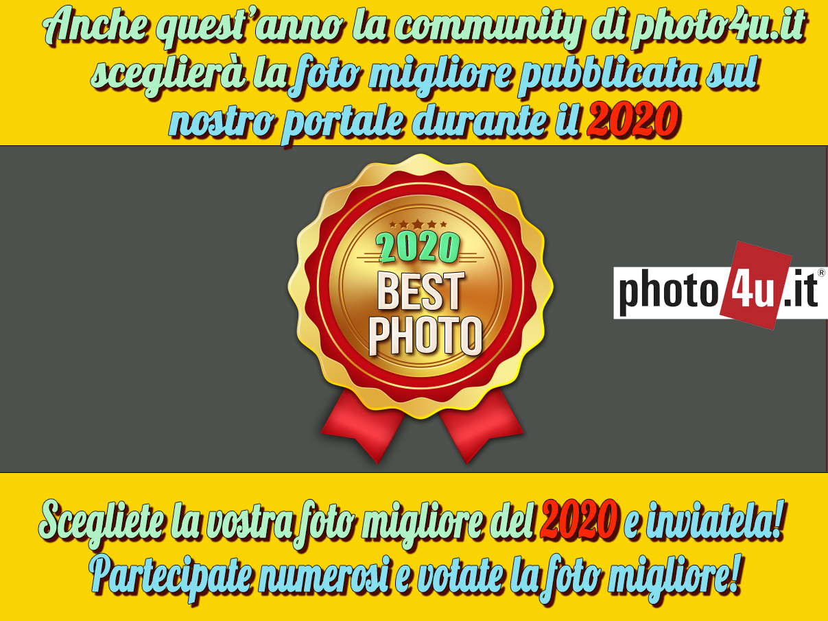 La nostra foto migliore del 2020 su photo4u.it