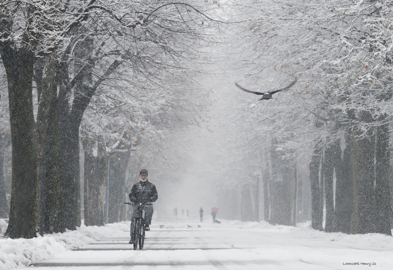 verso casa in bici...