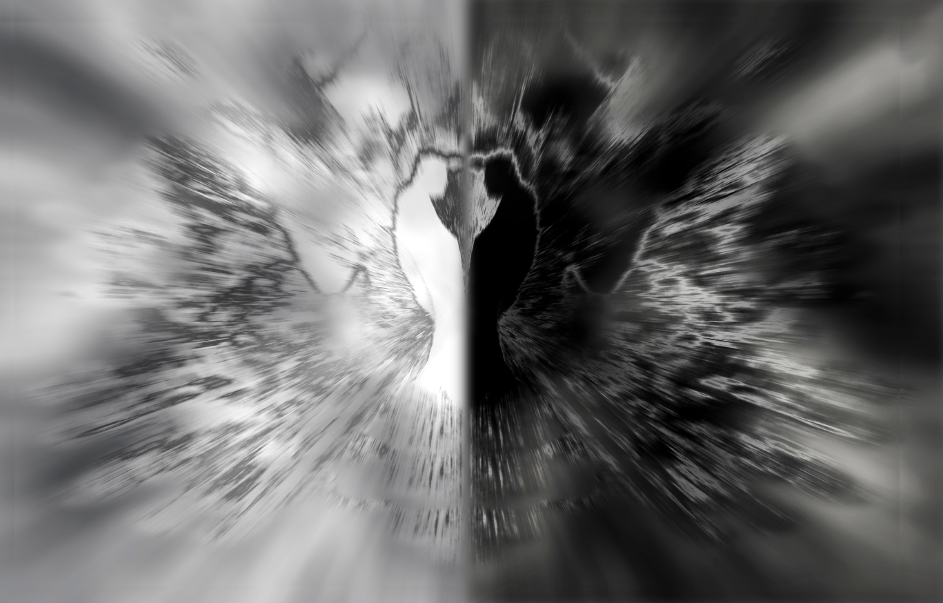 Enantiodromia   (corsa verso l�opposto )