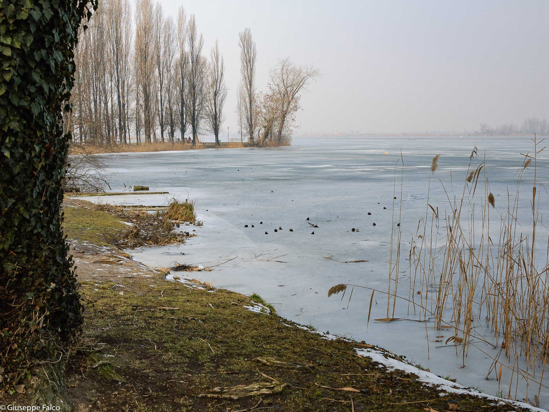 Quando il Lago Ghiacci�... 2
