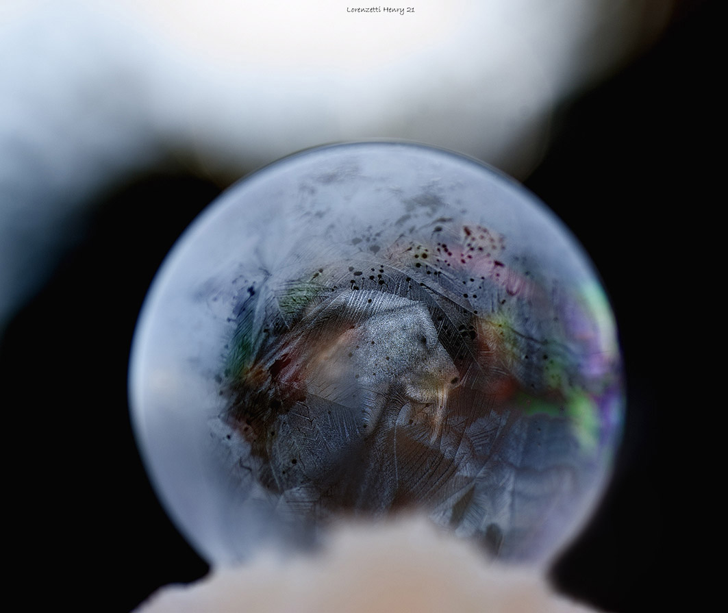 Camoscio\Stambecco....incredulo!