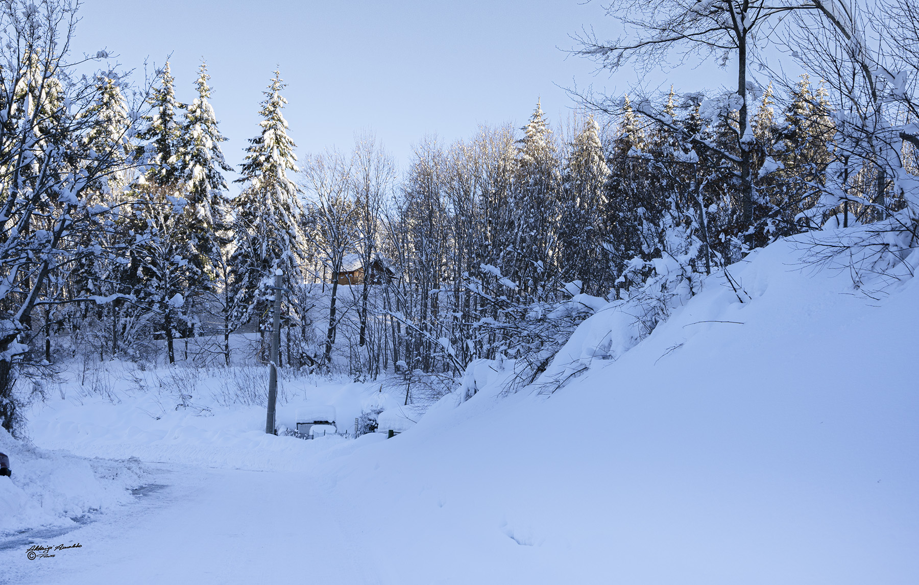 Nel mezzo della neve..