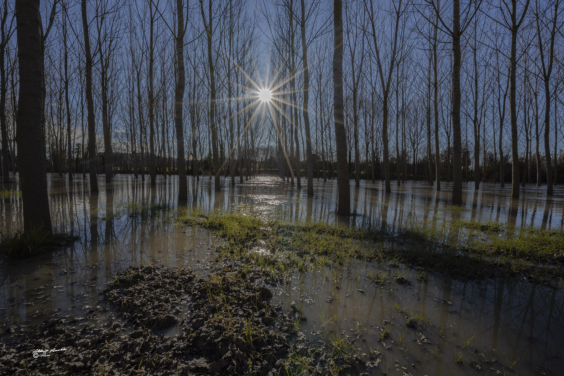 La pioppeta..allagata.