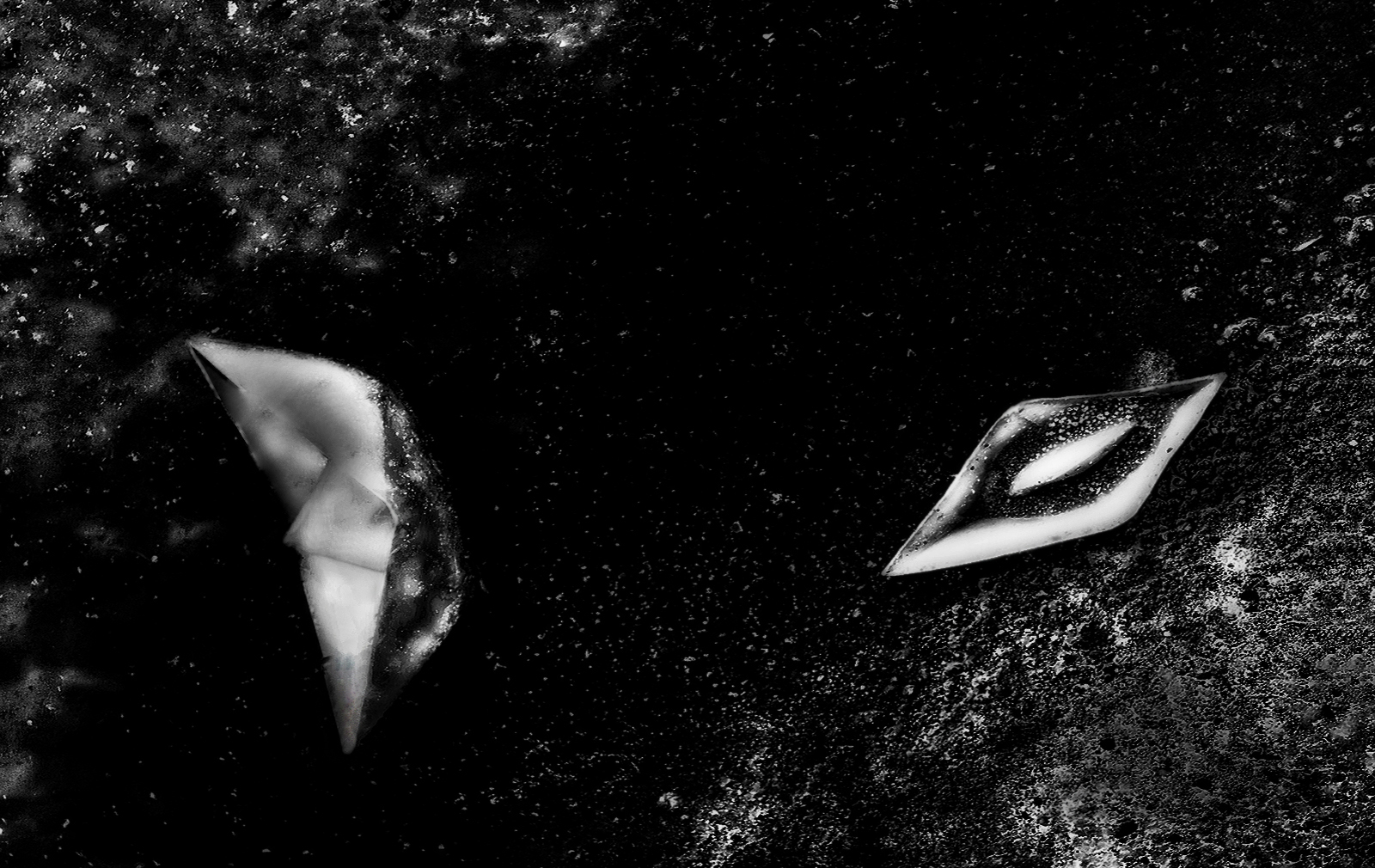 fermezza e volubilit�