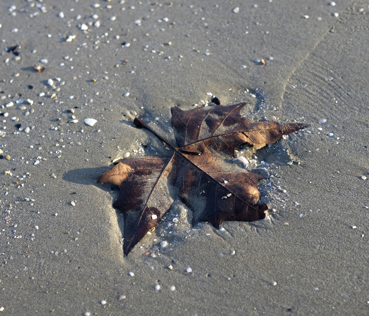 La stagione morta...