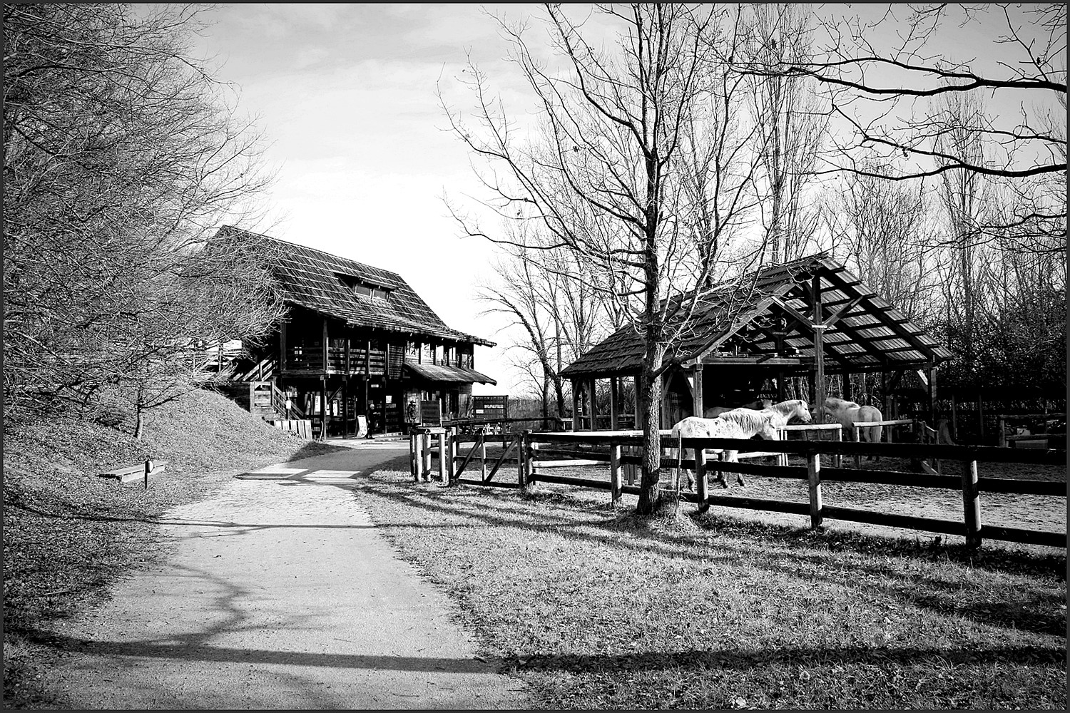 Isola della Cona (GO)