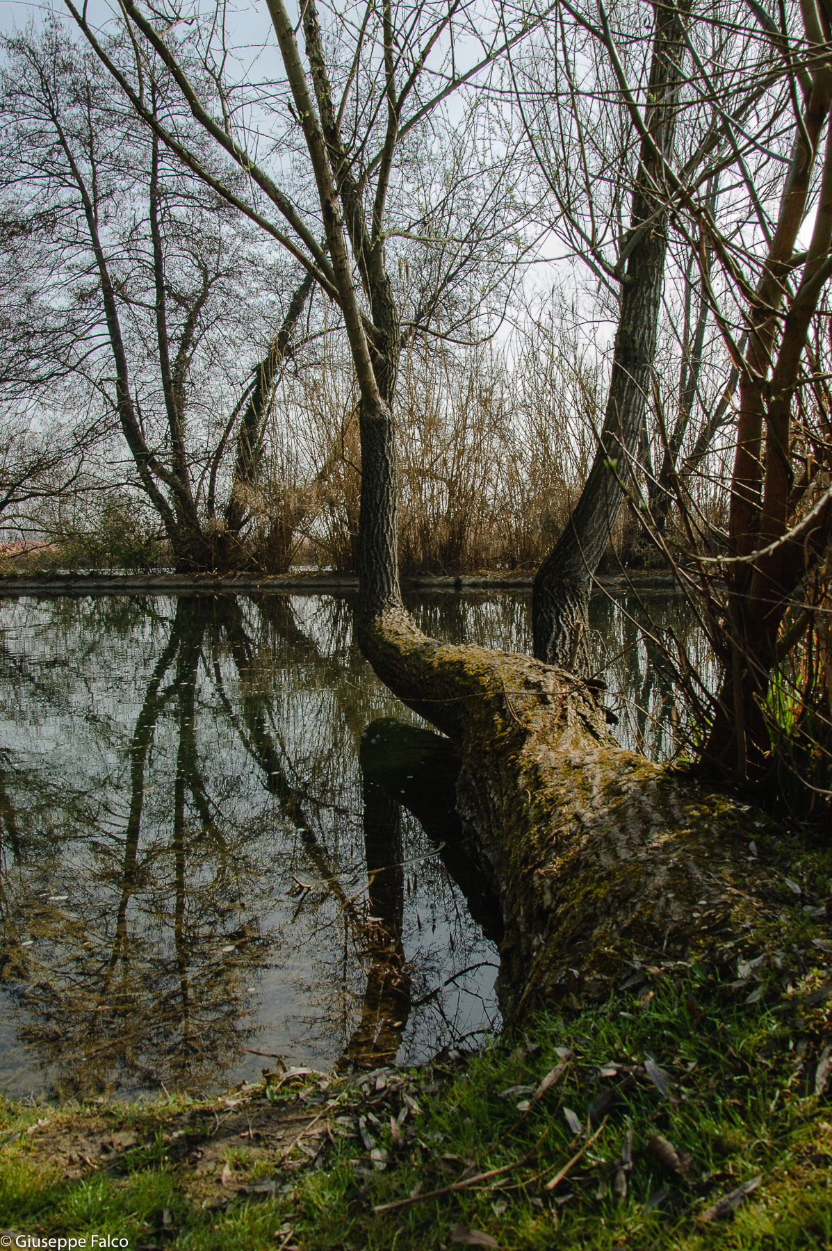 Lungo il Fiume...  a colori...