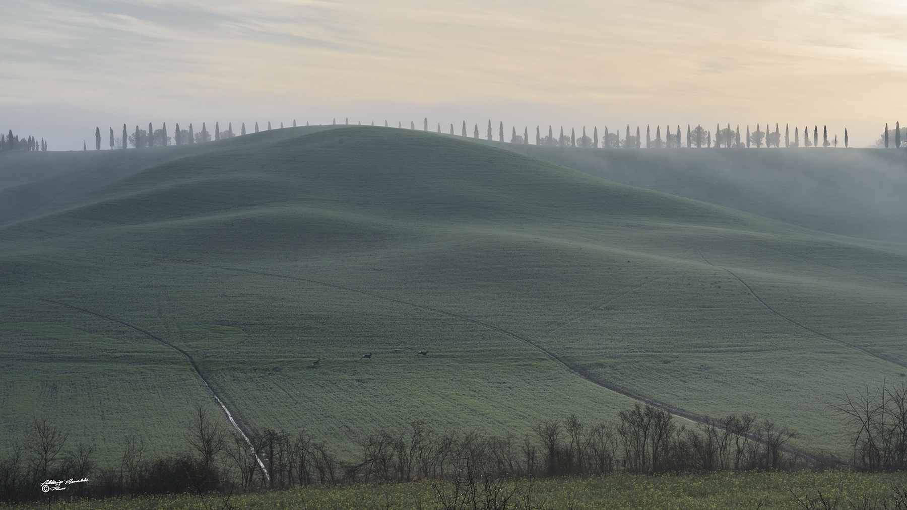 Nelle colline Toscane..