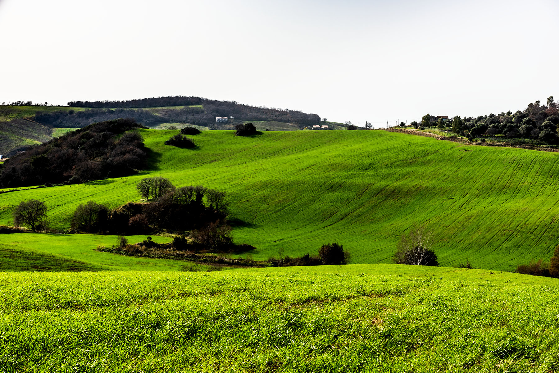 Primi segni di primavera
