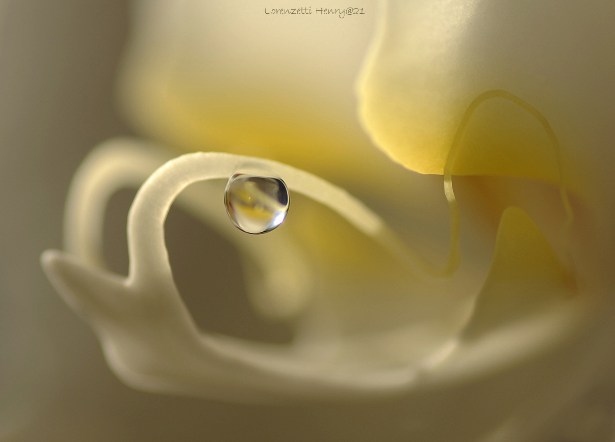 anche gli angeli piangono...