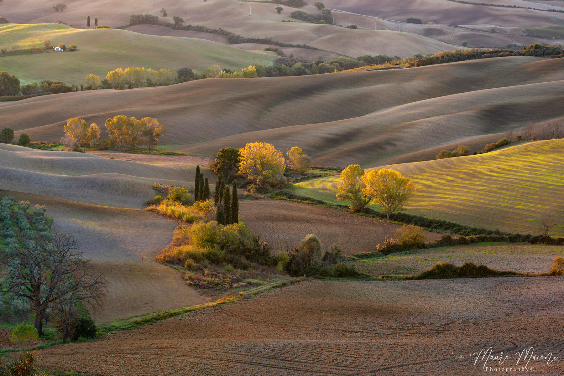 luci della val d'Orcia