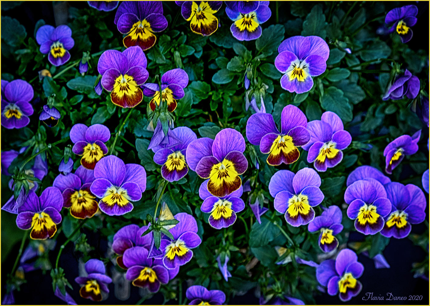 Aspettando la primavera