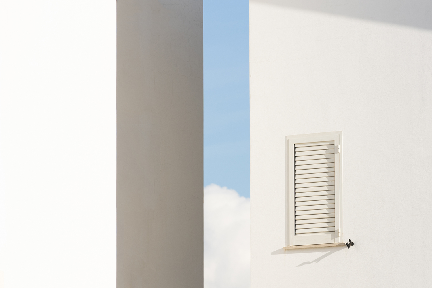 Architecture and Nature