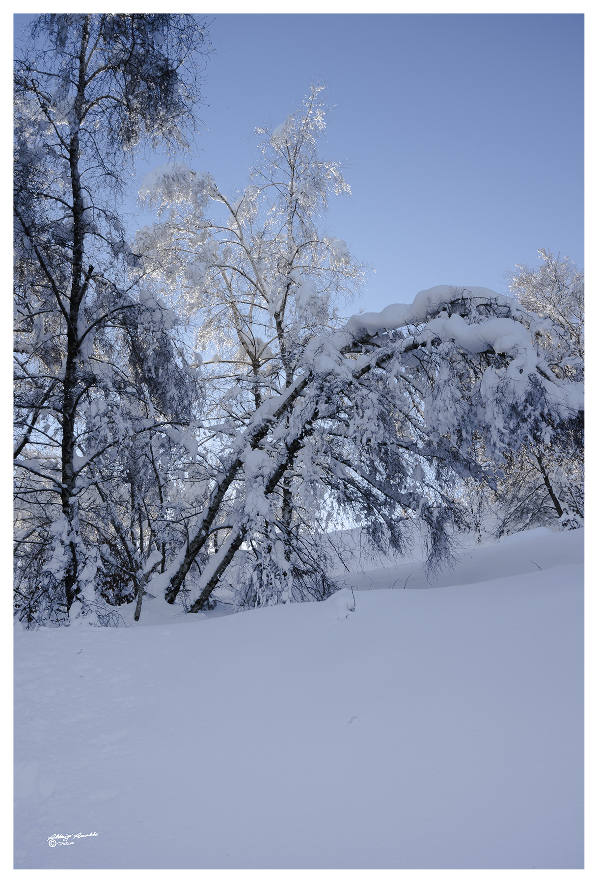 Il peso della neve...