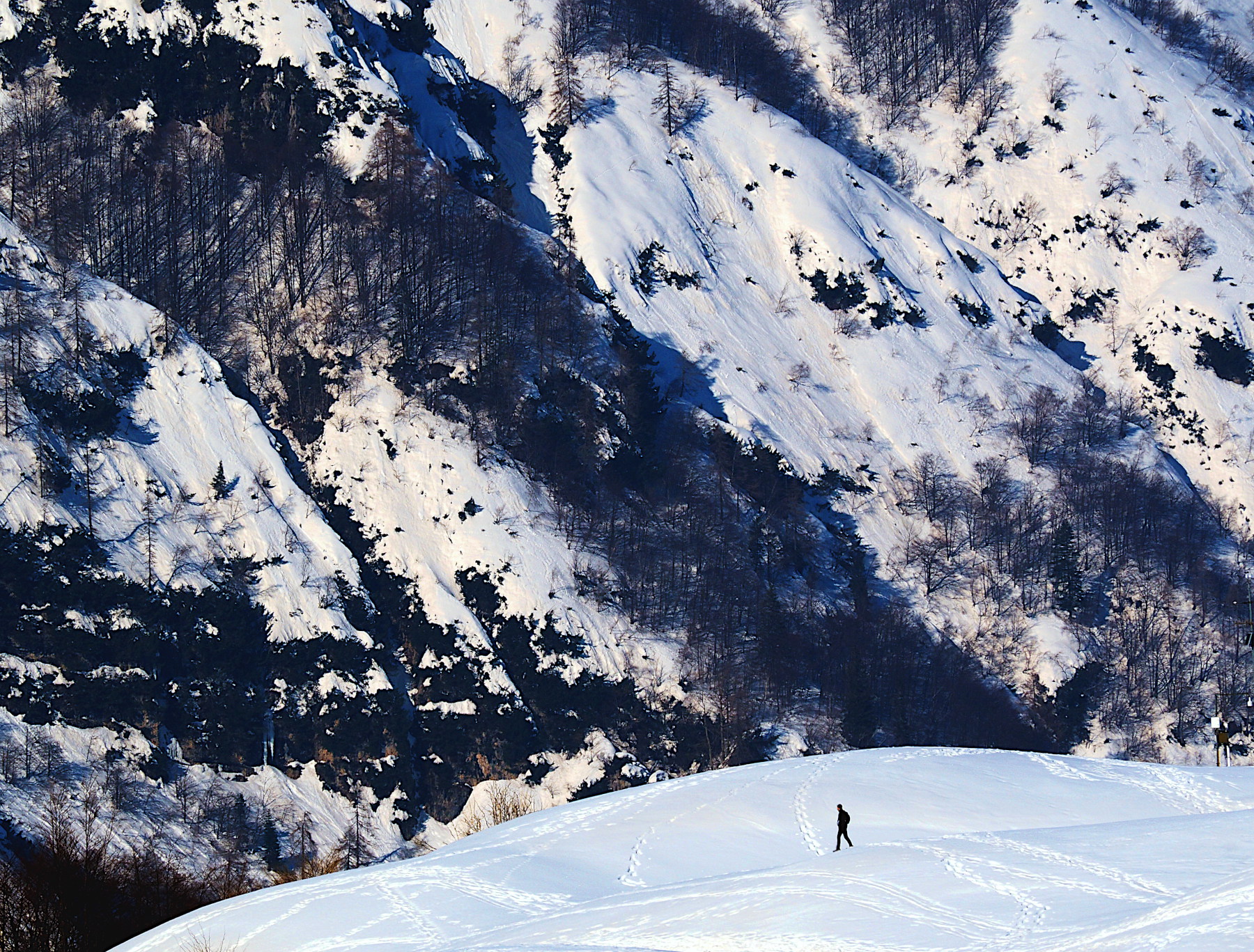 Microescursionista solitario nell'inverno
