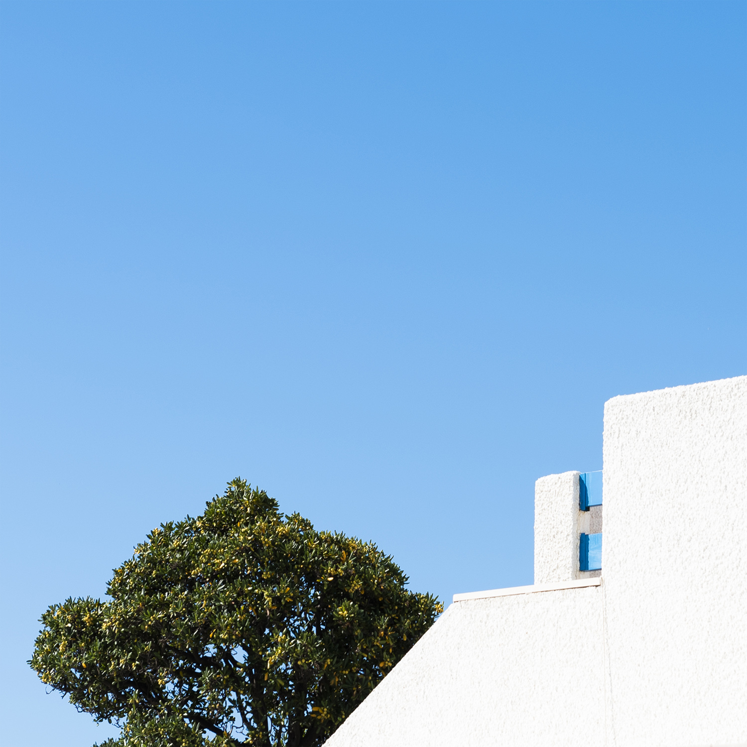 Architecture and Nature