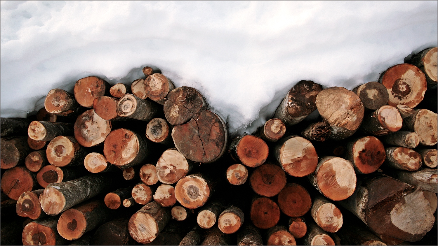 Val Saisera (UD) img.07