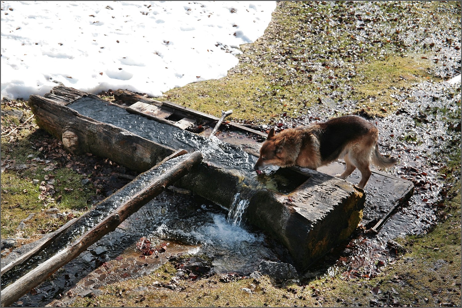 Chiare,fresche acque...