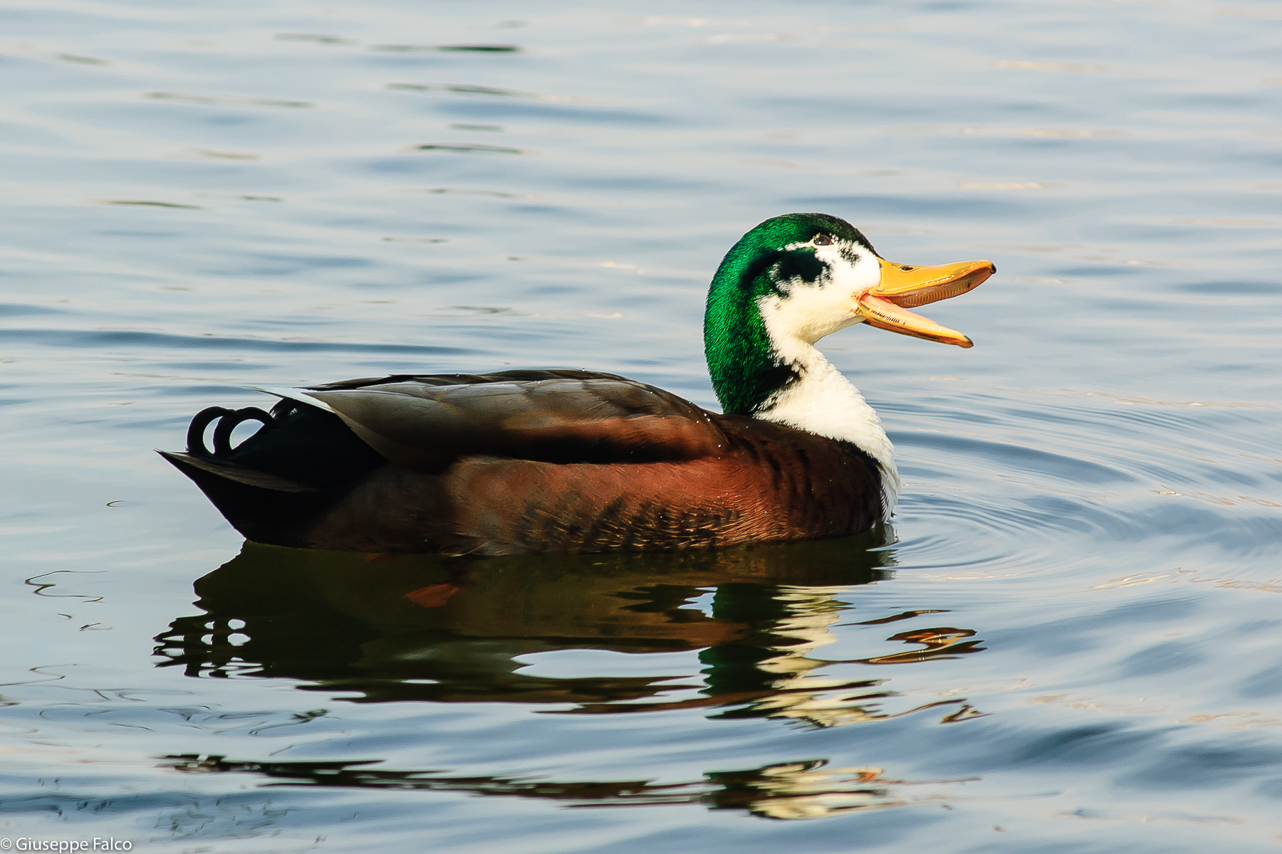 Intermezzo (Aspettando Sanremo)