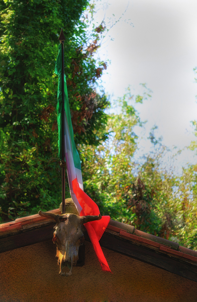 vedi quello che vuoi vedere