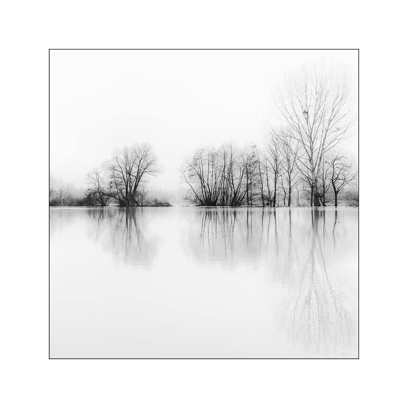 Apettando la primavera