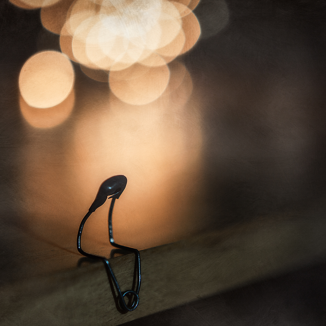 una storia come tante