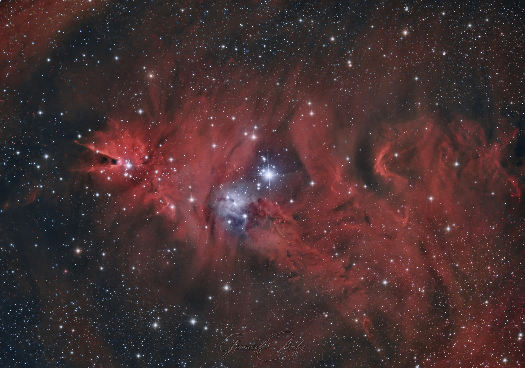 Cone e Christmas tree nebula