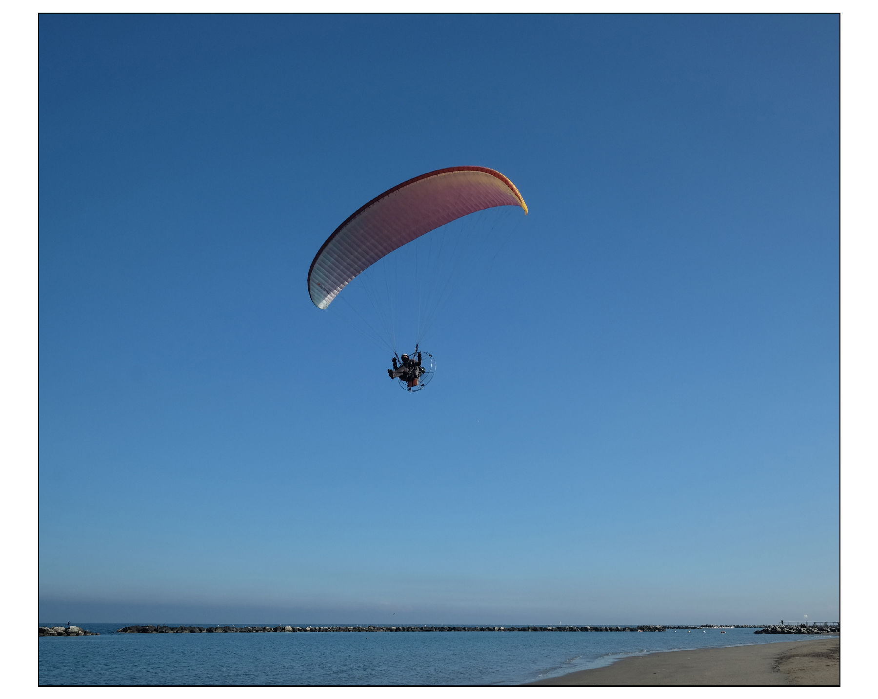 Liberi  di volare...