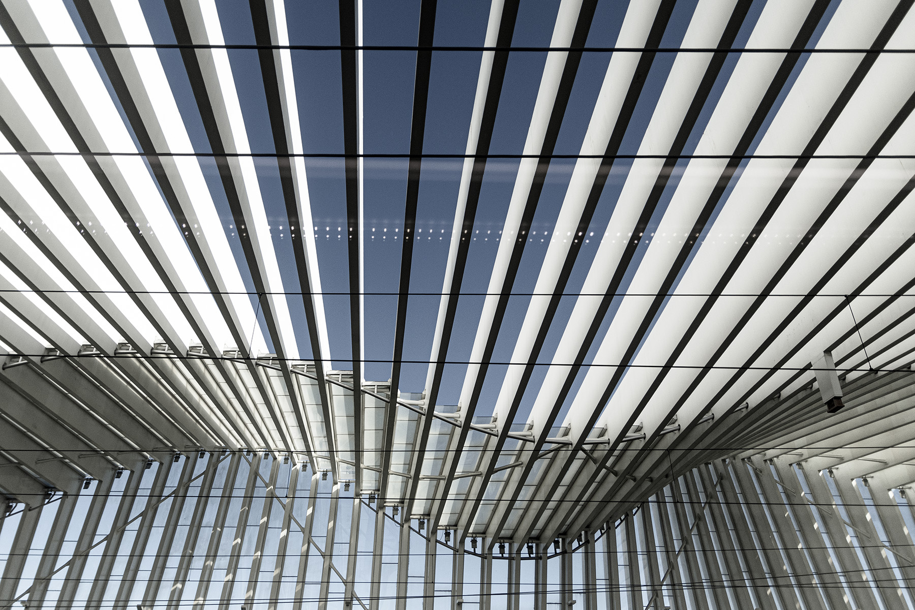 Archi_in_velocit�