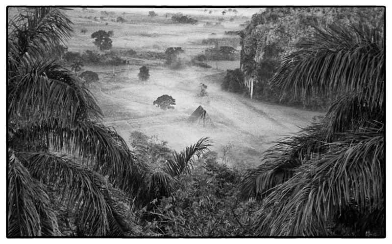 2001 Vinales ,storie di Campesinos e tabacco