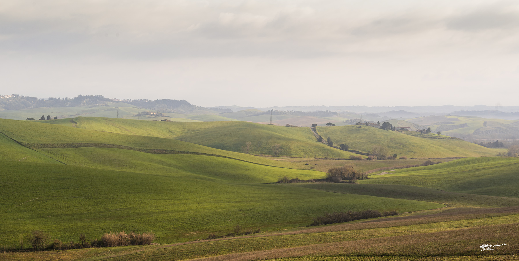 il verde della campagna..