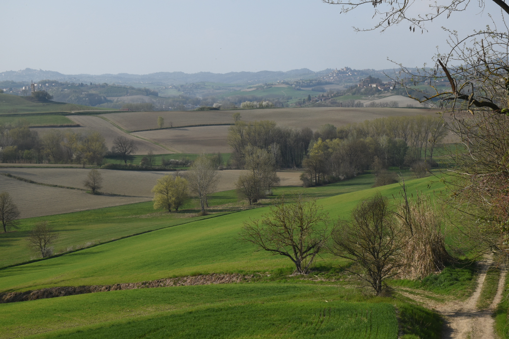 Mio Monferrato.... Collina Piemontesi...