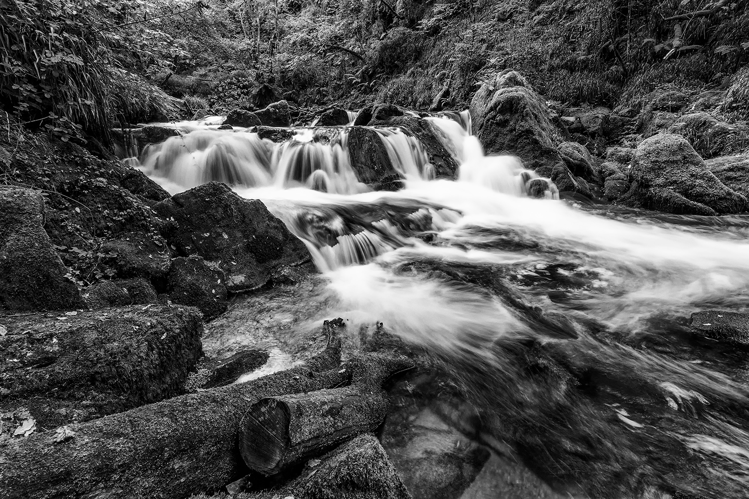 Golitha Falls 2/2