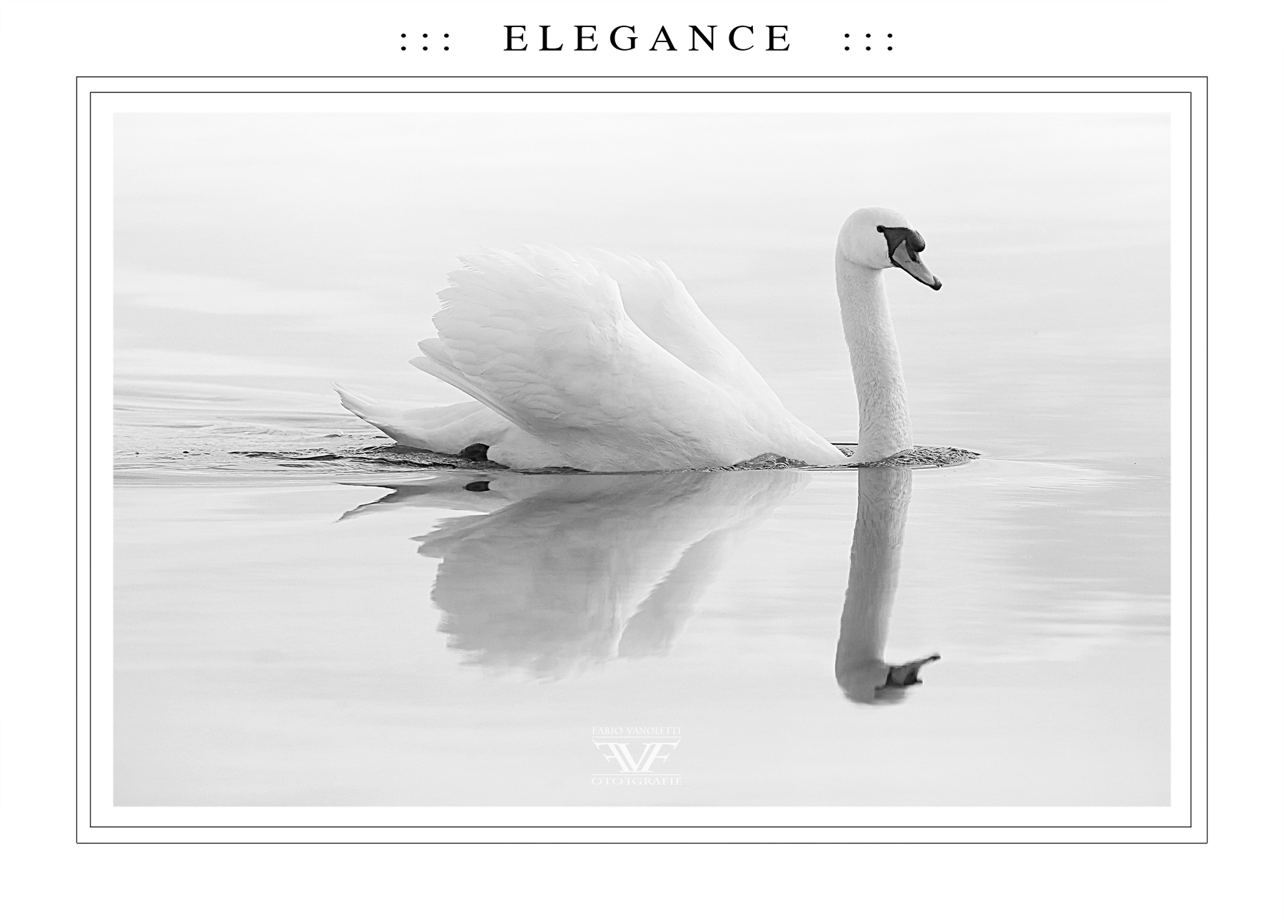 ::: E L E G A N C E :::