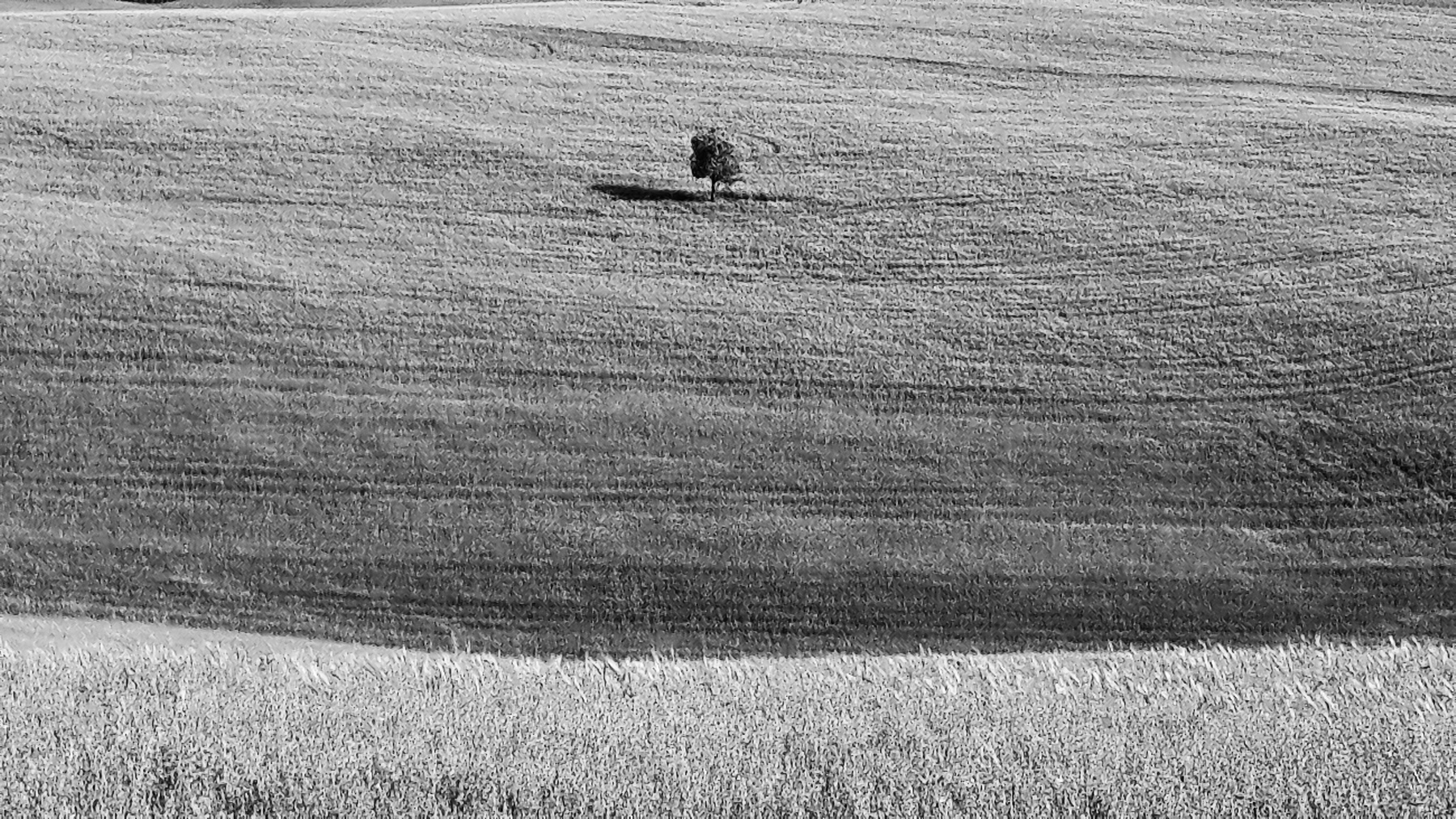 Giornata della Terra