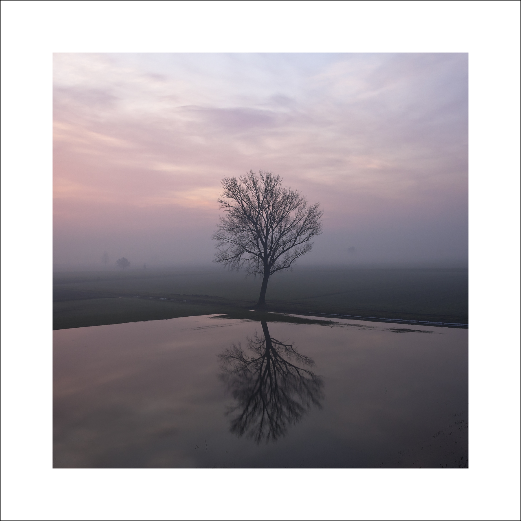 un angolo di sera...