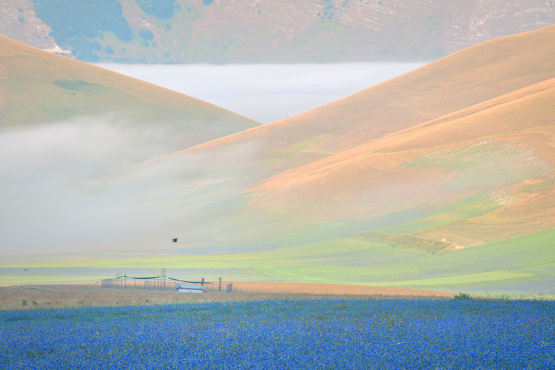 prime luci sulla piana