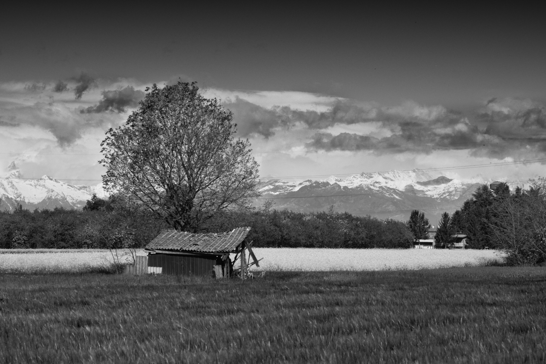 Rustico con ampio giardino