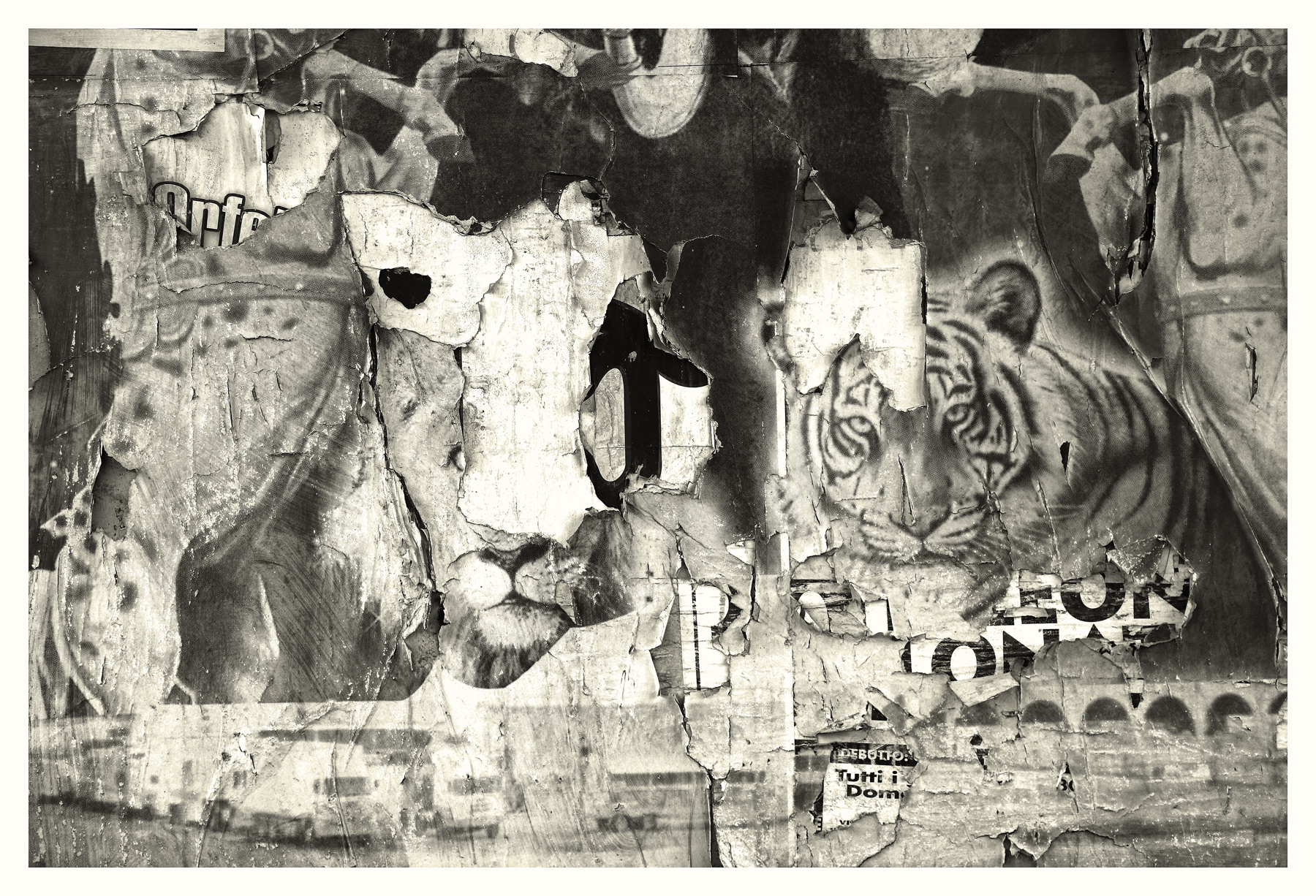 arrivato il circo...