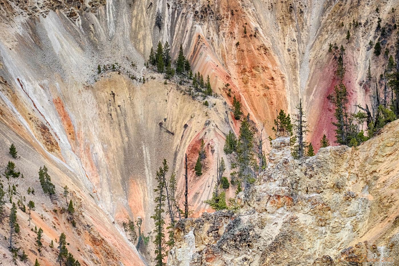 Il perch� di un nome