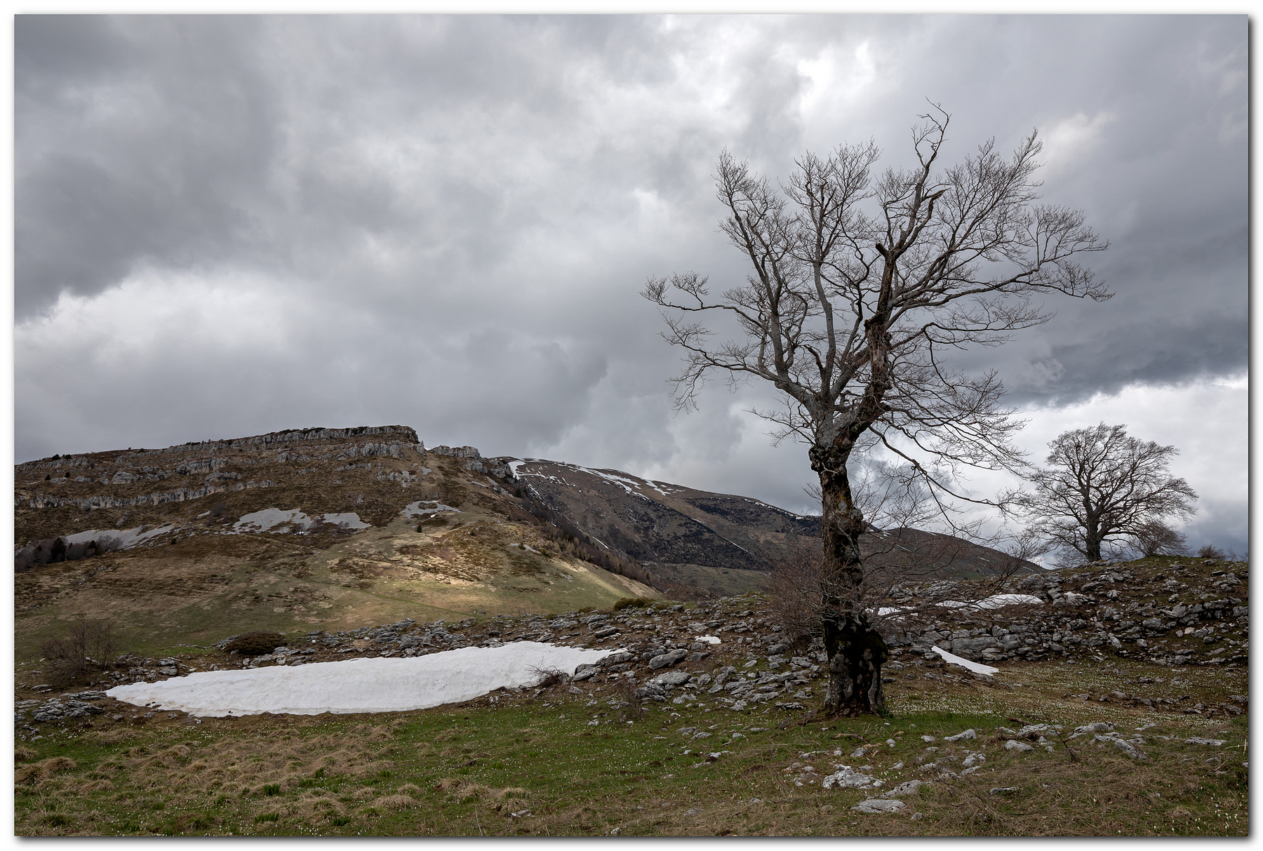 Tra l'inverno e la primavera