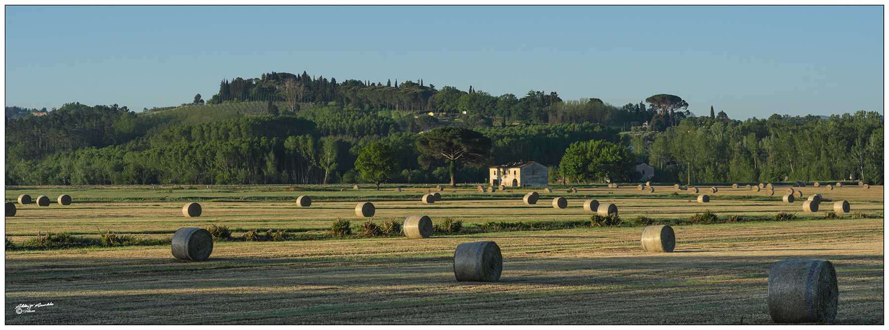 Round bales..