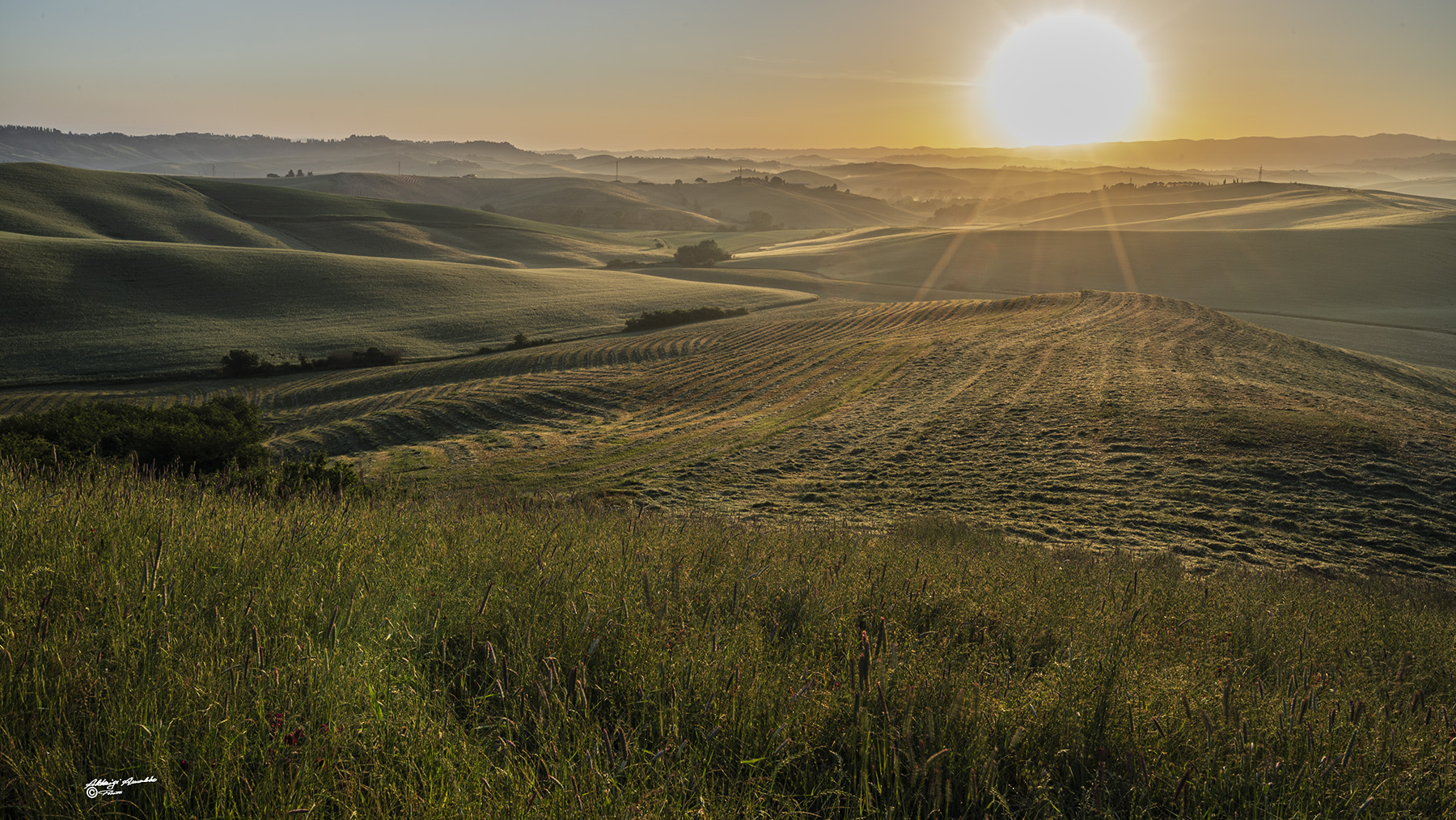 Le colline del Silenzio... Lajatico